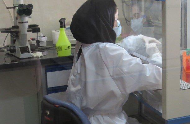 تولید پلیمرهای مهندسی منحصر به فرد با کاربردهای صنعتی و پزشکی