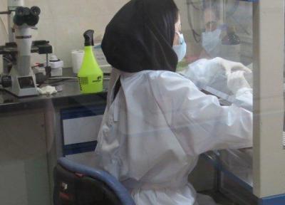 تولید پلیمرهای مهندسی منحصر به فرد با کاربردهای صنعتی و پزشکی