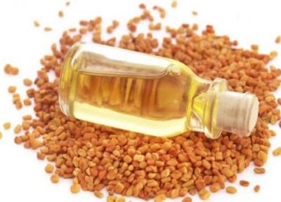 15 مورد از خواص روغن شنبلیله؛ از زیبایی پوست تا درمان بی خوابی