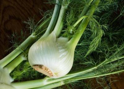 خواص گیاه رازیانه برای سلامتی