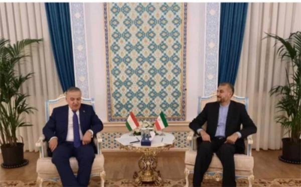 وزیران امورخارجه ایران و تاجیکستان ملاقات و گفت وگو کردند